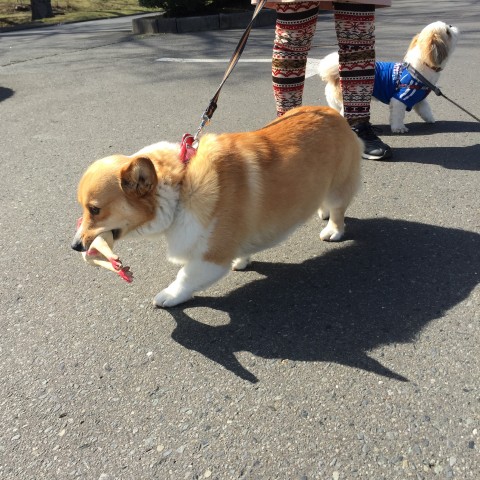 20150403_235229142_iOS