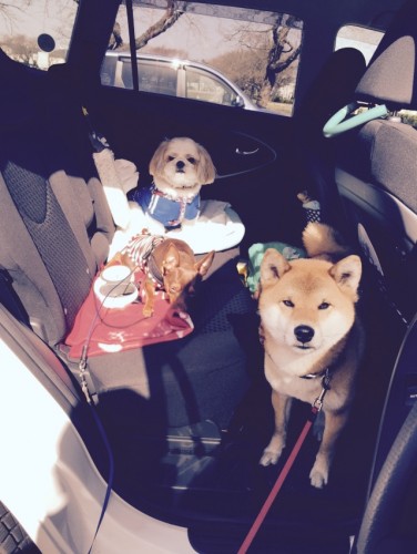 20150404_000408411_iOS