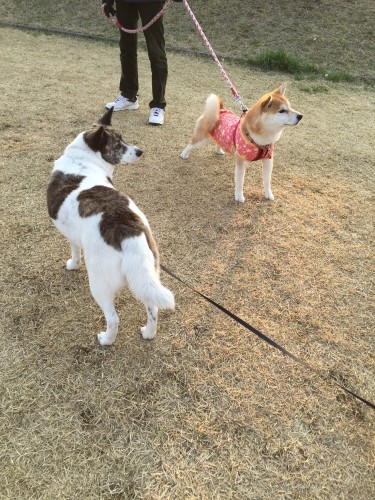 20150412_080717057_iOS