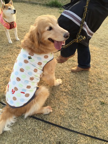 20150412_080733656_iOS