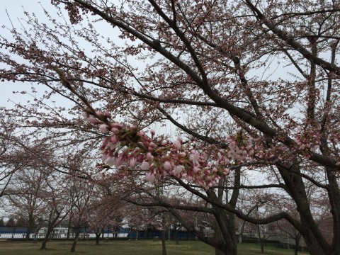 20150416_215705892_iOS