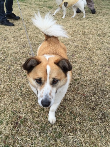 20150416_220136192_iOS