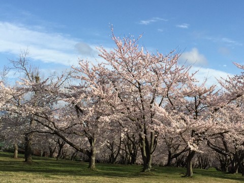 20150420_215709170_iOS