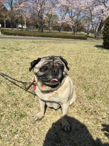 20150424_232229491_iOS