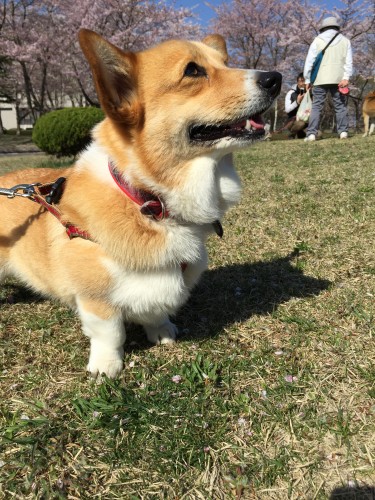 20150424_232406756_iOS