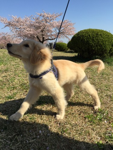20150424_232418690_iOS