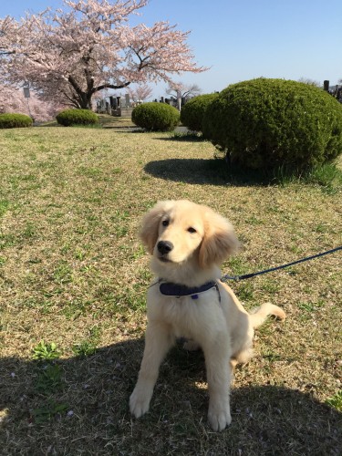 20150424_232425188_iOS
