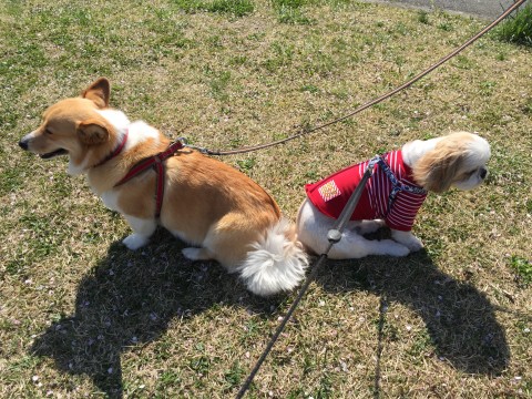 20150424_235231671_iOS