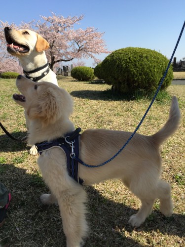 20150424_232410365_iOS
