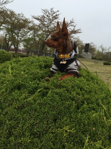 20150428_234206474_iOS