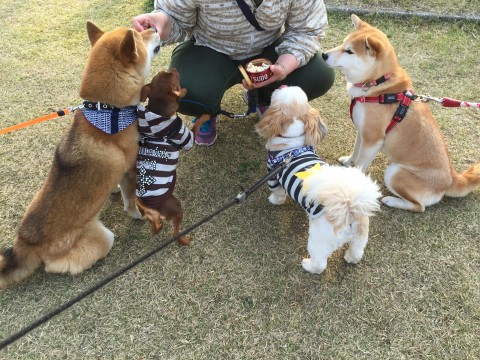 20150429_074250461_iOS