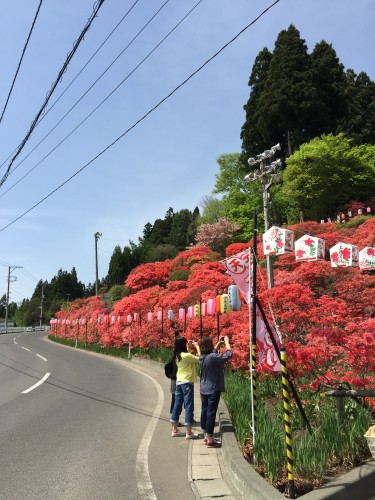 20150506_034339210_iOS