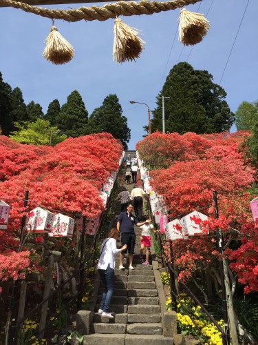 20150506_034538749_iOS
