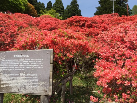 20150506_034556885_iOS