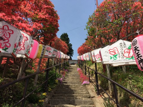 20150506_034915146_iOS