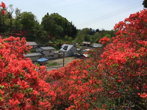 20150506_035536213_iOS