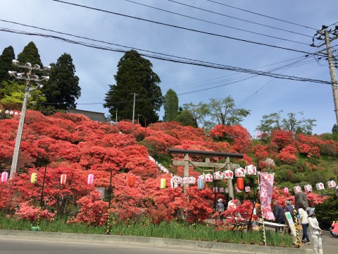 20150506_040017977_iOS